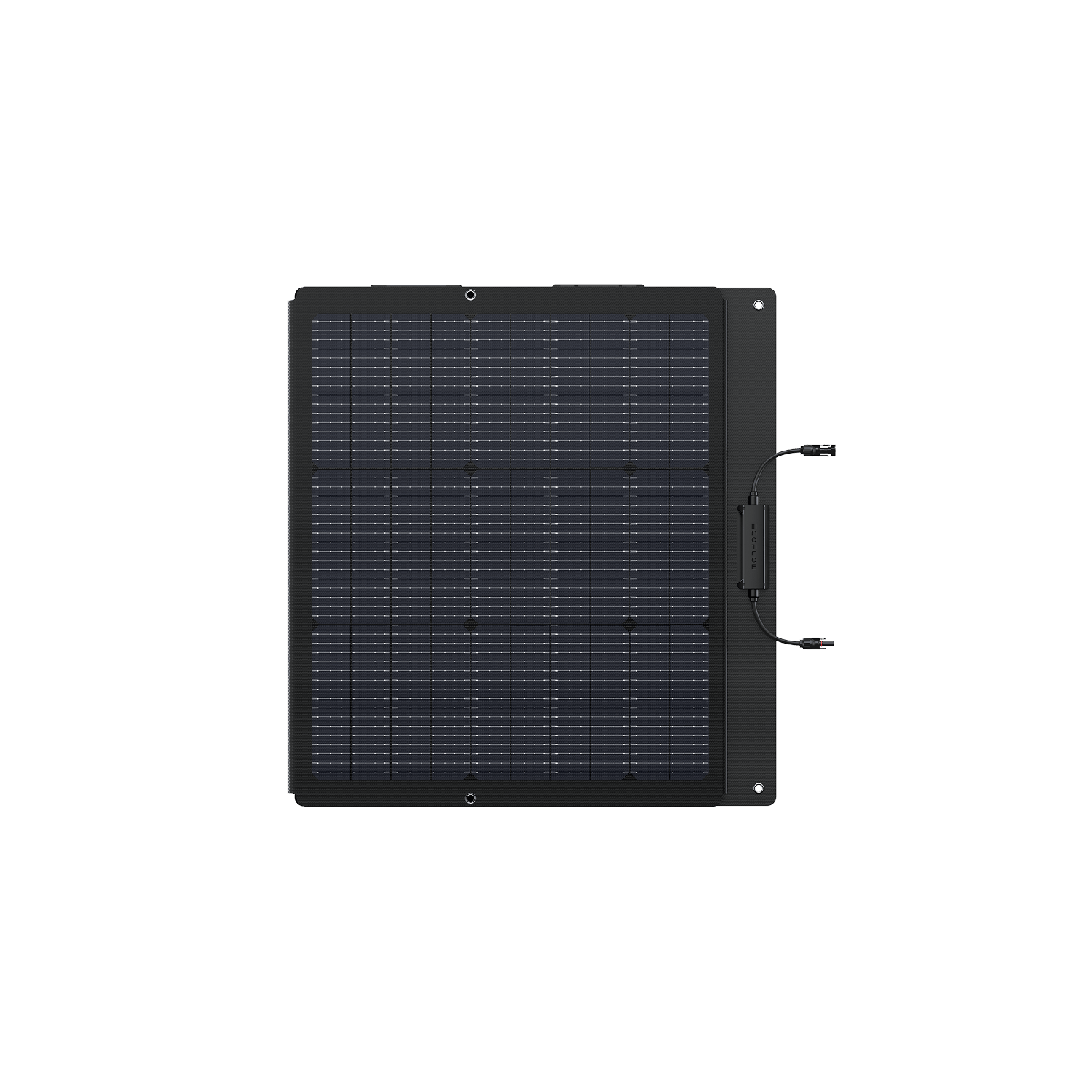 EcoFlow 160 W Leichtes Tragbares Solarpanel