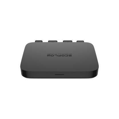 EcoFlow Batterieladegerät 800 W + EcoFlow DELTA Pro + Smart Generator Adapter