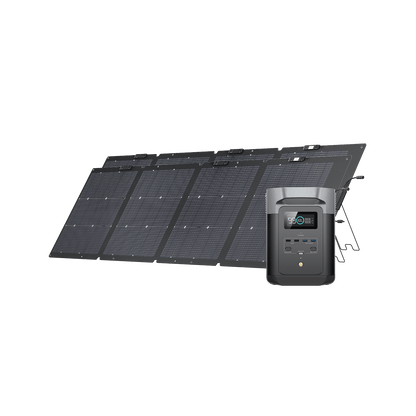 EcoFlow DELTA 2 Solargenerator (PV220W)